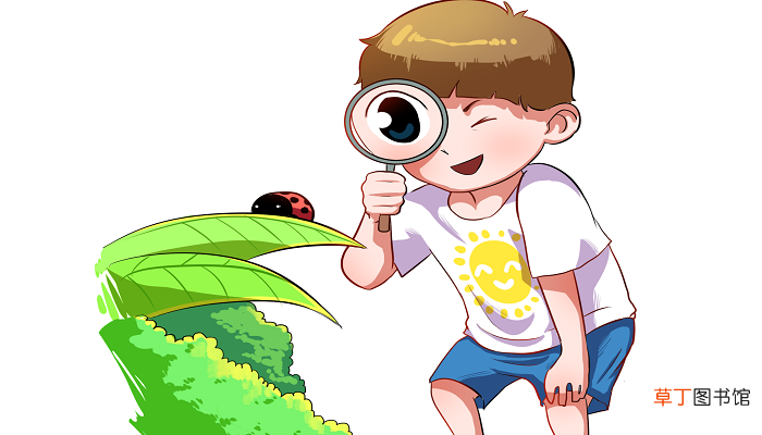 梦见身上有扯不完的虫子