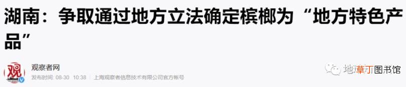 为什么槟榔第一口汁要吐掉 为什么嚼槟榔
