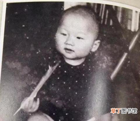 成龙为什么不承认小龙女 成龙为什么姓房