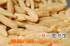 麦冬泡水的功效与好处