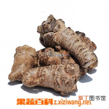 田七牛肉的功效