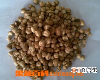 白豆蔻的功效和作用