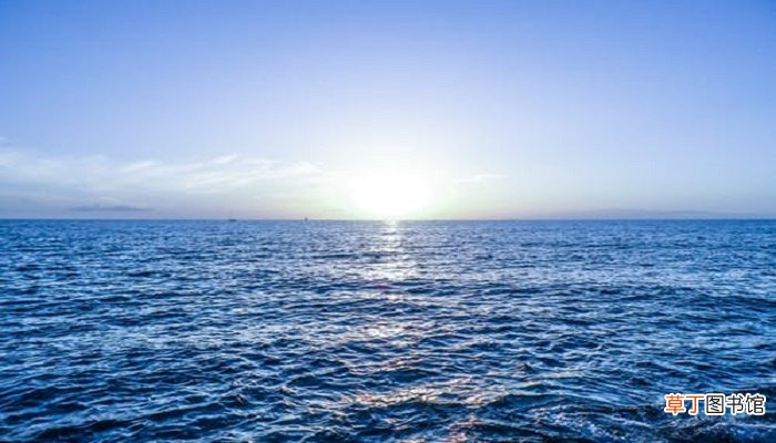 梦见海浪很高很大向自己扑来