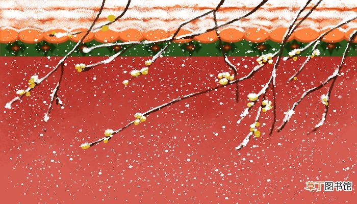 梦见八月下雪是什么征兆