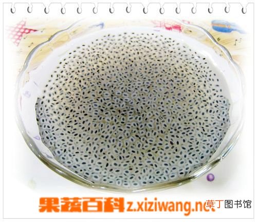 兰香子的功效与作用