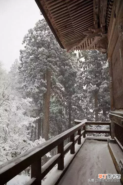 雪花纷飞 描写雪花纷飞的诗句