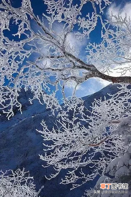 雪花纷飞 描写雪花纷飞的诗句