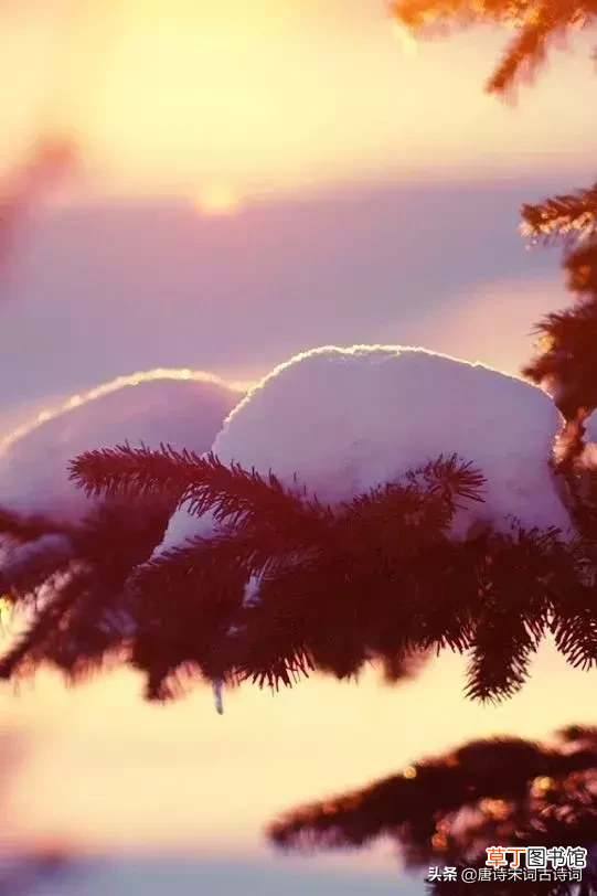 雪花纷飞 描写雪花纷飞的诗句