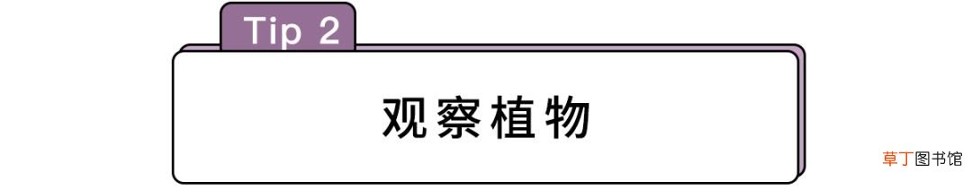 辨别方向的方法有哪些 分清东南西北的N种大招