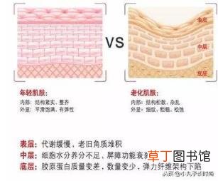 皮肤越来越干为什么 为什么会变干