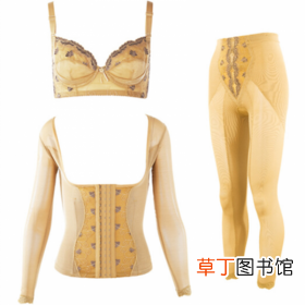中脉美体内衣的功效