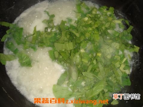 青菜鸡蛋粥的营养价值与功效