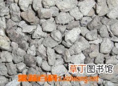 中药海浮石的功效与作用