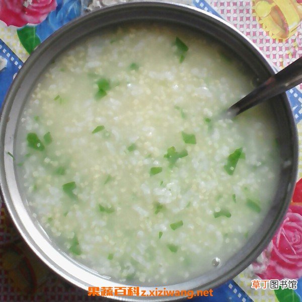 青菜煮粥的功效与营养价值
