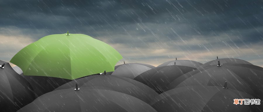 梦见下好大的雨