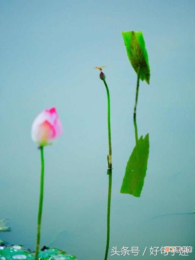 我想念你的句子 我想念你