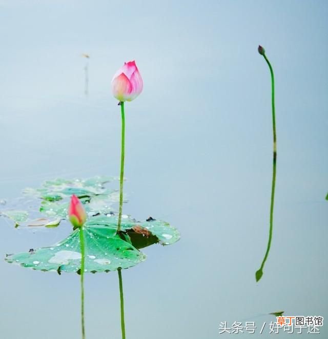 我想念你的句子 我想念你