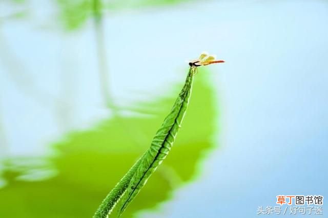 我想念你的句子 我想念你