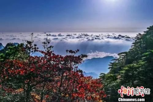重阳的来历 重阳节是怎么来的