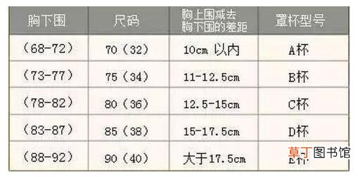 怎样介绍文胸更专业
