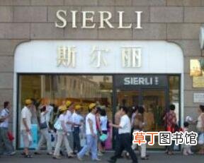 斯尔丽属于什么档次