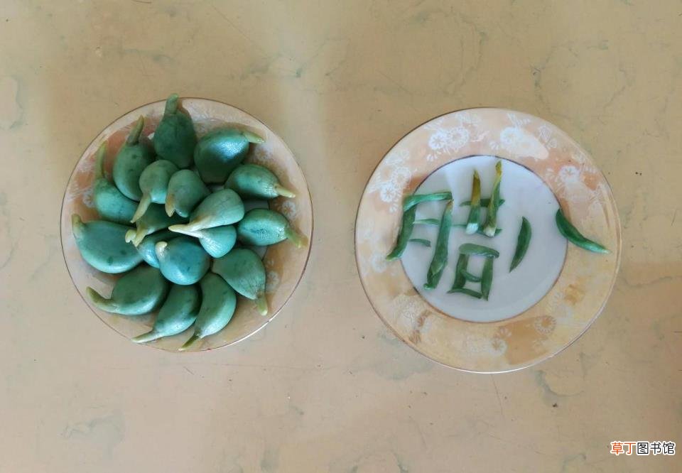 绿色腊八蒜的功效 腊八蒜为什么是绿的