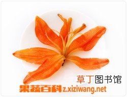 百合花的功效与作用