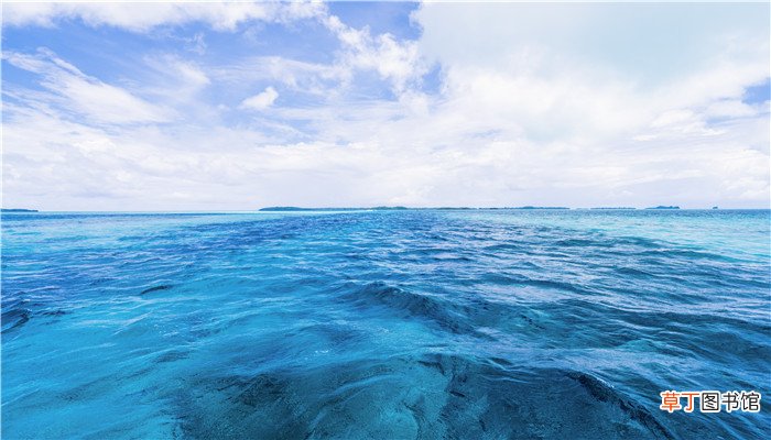 梦见掉海里又爬上来了