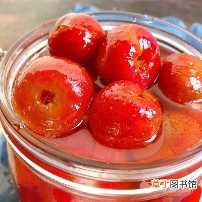 山楂罐头的做法 自制山楂罐头的做法