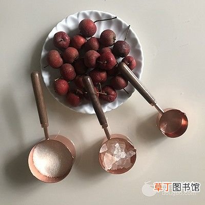 山楂罐头的做法 自制山楂罐头的做法