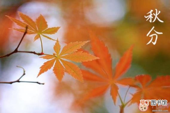 2021秋分节气祝福语朋友圈配图 2021秋分节气早安图片问候语句子大全