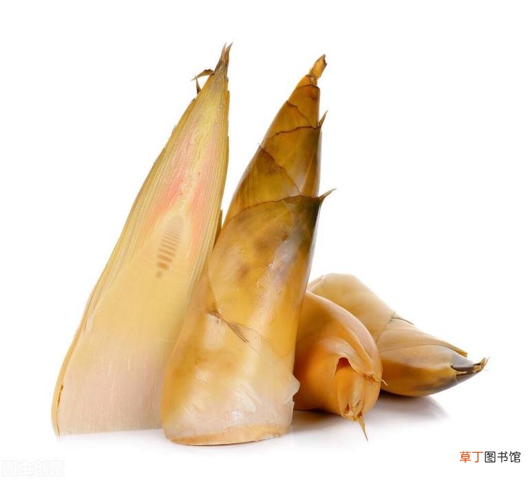 竹笋发涩的原因 竹笋为什么是苦的