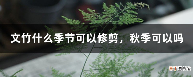 文竹什么季节可以修剪，秋季可以吗