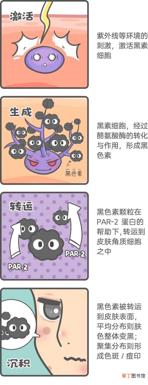 怎么让皮肤变白最简单的方法 皮肤为什么会黑