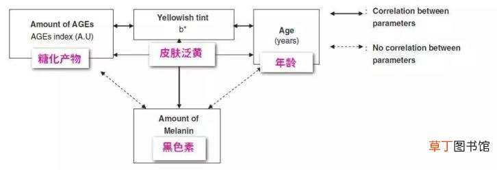 怎么让皮肤变白最简单的方法 皮肤为什么会黑