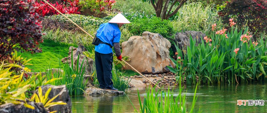 梦见在水里捞东西