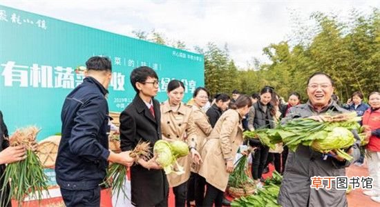 泉州聚龙小镇 探秘“聚龙小镇”