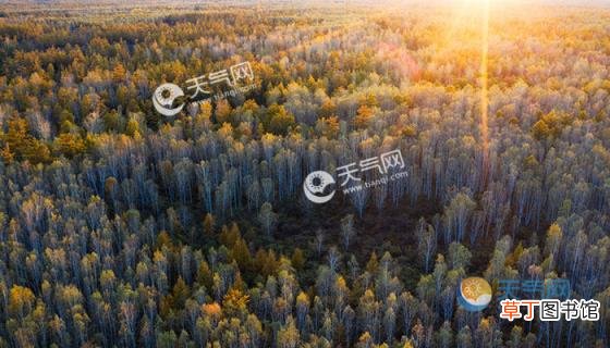 伊春有什么好玩的景点地方 2021伊春旅游必去的景点