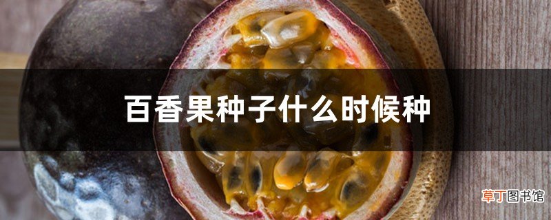 百香果种子什么时候种，用纸巾怎么催芽？