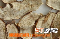 白蔹的功效和作用