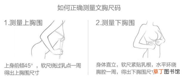 内衣70b是32还是34