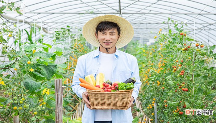 梦见菜园里结了好多蔬菜瓜果