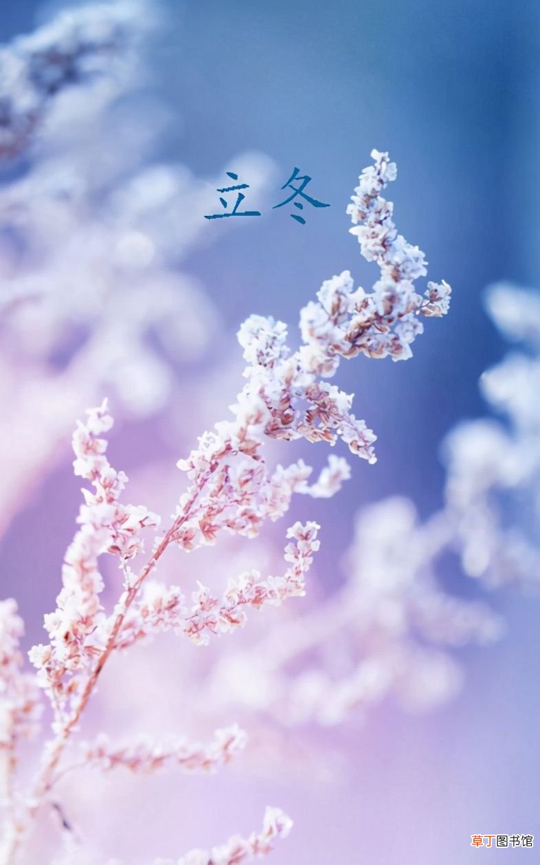 立冬诗词十首 十首立冬?的古诗词