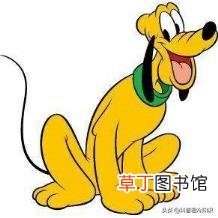 蒜肉是什么东西 蒜为什么是荤的
