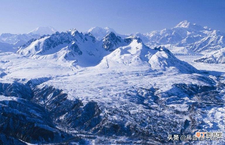 蒜肉是什么东西 蒜为什么是荤的