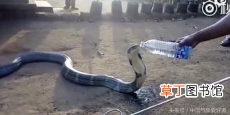 干旱意思 为什么印度干旱