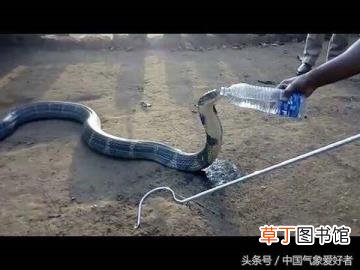 干旱意思 为什么印度干旱