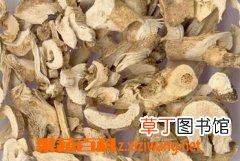 白鲜皮的功效和作用