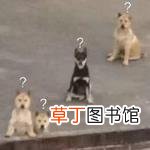 为什么系统u盘很贵 u盘为什么贵