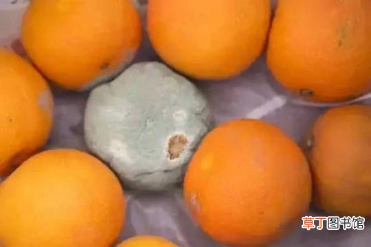 请问人身上肿瘤是怎么引起的 为什么有肿瘤